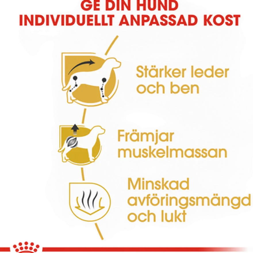 Dachshund Adult tørrfôr for hunder 7,5 kg