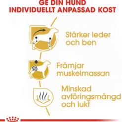 Dachshund Adult tørrfôr for hunder 1,5 kg