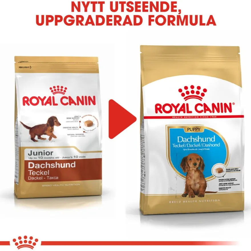 Dachshund valp tørrfôr for valp 1,5 kg