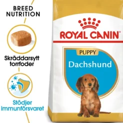 Dachshund valp tørrfôr for valp 1,5 kg