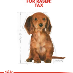 Dachshund valp tørrfôr for valp 1,5 kg