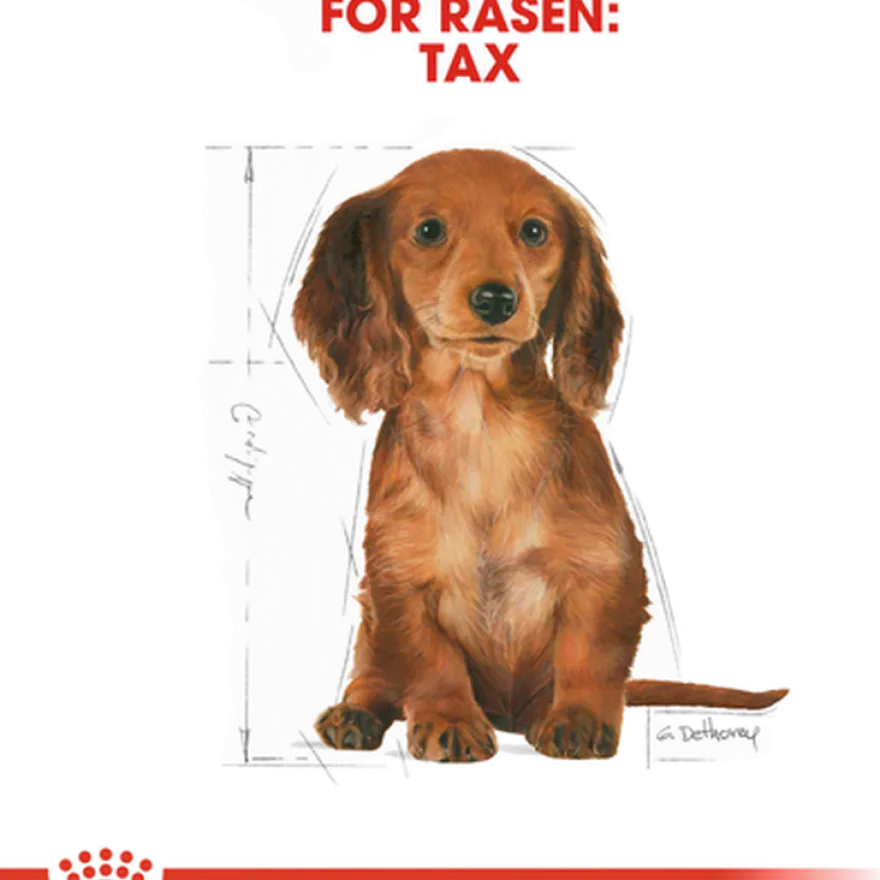 Dachshund valp tørrfôr for valp 1,5 kg