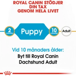 Dachshund valp tørrfôr for valp 1,5 kg