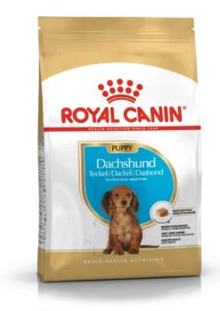 Dachshund valp tørrfôr for valp 1,5 kg
