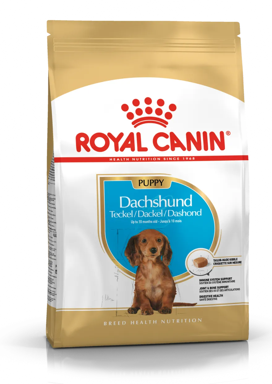Dachshund valp tørrfôr for valp 1,5 kg