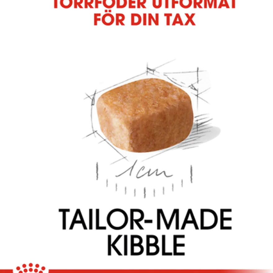 Dachshund valp tørrfôr for valp 1,5 kg