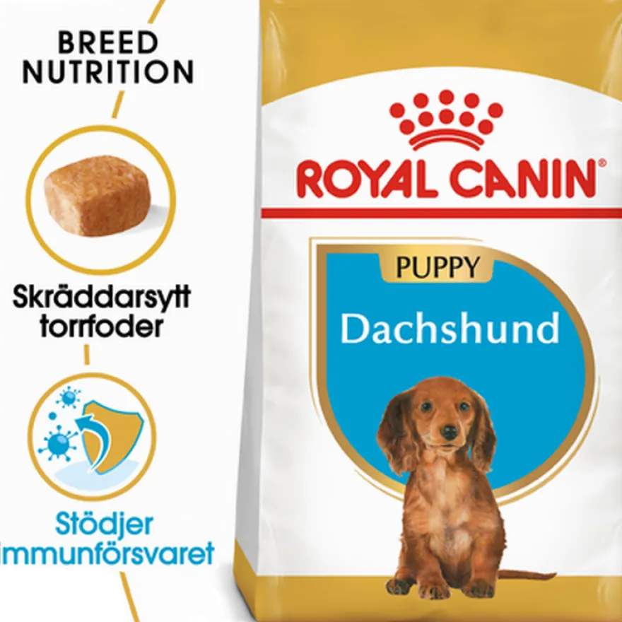 Dachshund valp tørrfôr for valp 1,5 kg