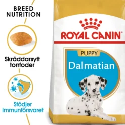 Dalmatiner valp 12 kg