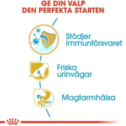 Dalmatiner valp 12 kg