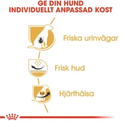 Dalmatiner voksen 12 kg