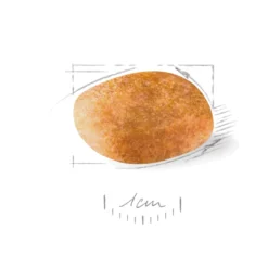 Dalmatiner voksen 12 kg