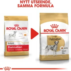 Dalmatiner voksen 12 kg