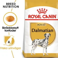 Dalmatiner voksen 12 kg