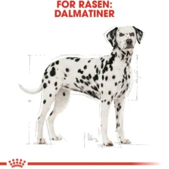 Dalmatiner voksen 12 kg