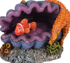 Dekorasjon Leto Shell Fish 12 x 8 x 9 cm