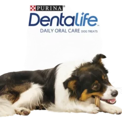 Dentalife Large 4-pakning 142 g