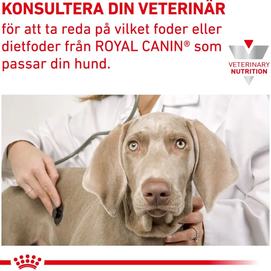 Derma Anallergenic Small Dog tørrfôr for hunder 1,5 kg