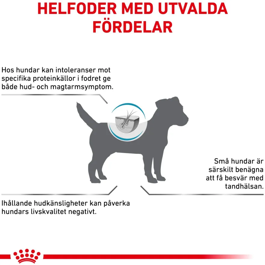 Derma Anallergenic Small Dog tørrfôr for hunder 1,5 kg