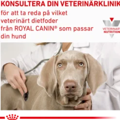 Derma Anallergenic tørrfôr for hunder 8 kg