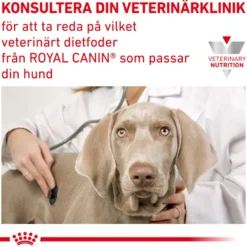Derma Anallergenic tørrfôr for hunder 3 kg
