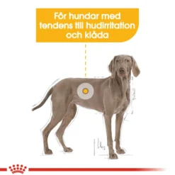 Dermacomfort Adult Maxi tørrfôr for hunder 12 kg