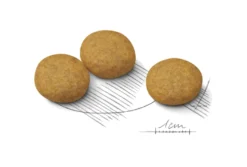 Dermacomfort Adult Medium tørrfôr for hunder 12 kg