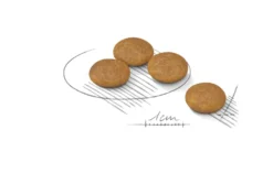 Dermacomfort Adult Mini tørrfôr for hunder 3 kg