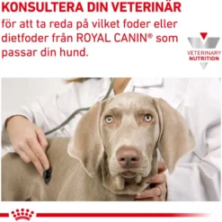 Derma Hypoallergenic Puppy tørrfôr for valper 3,5 kg