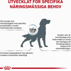 Derma Sensitivity Control tørrfôr for hunder 14 kg