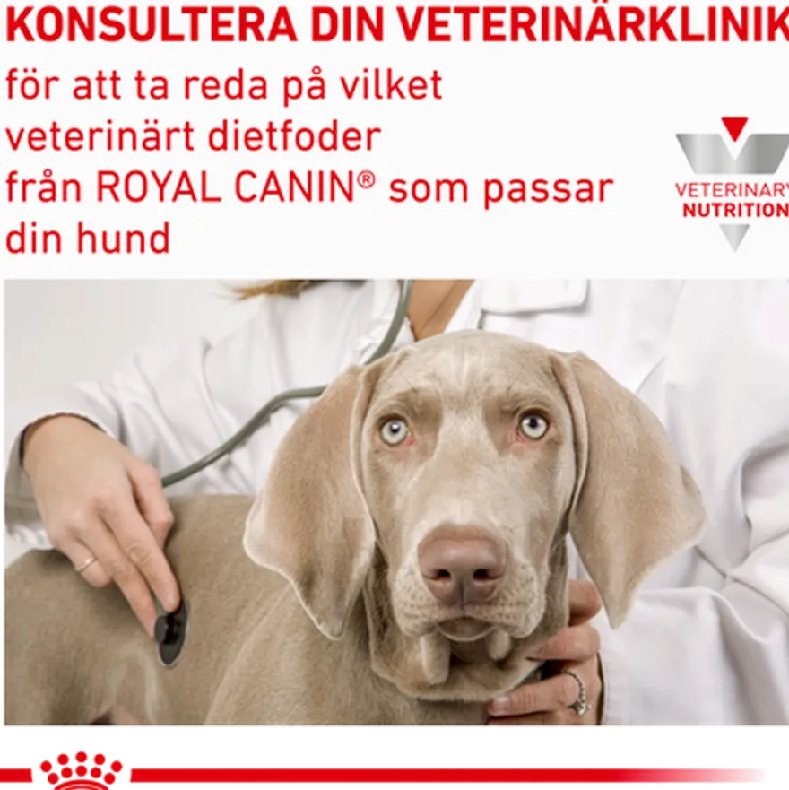 Derma Sensitivity Control tørrfôr for hunder 1,5 kg
