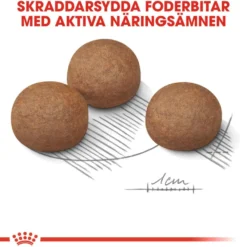 Digestive Care Adult Maxi tørrfôr for hunder 12 kg