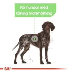 Digestive Care Adult Maxi tørrfôr for hunder 12 kg