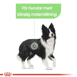 Digestive Care Adult Medium tørrfôr for hunder 12 kg