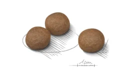 Digestive Care Adult Medium tørrfôr for hunder 12 kg