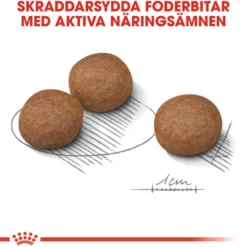Digestive Care Adult Medium tørrfôr for hunder 12 kg