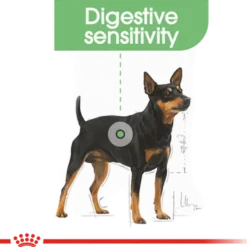 Digestive Care Adult Mini tørrfôr for hunder 8 kg