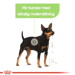 Digestive Care Adult Mini tørrfôr for hunder 8 kg