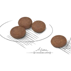 Digestive Care Adult Mini tørrfôr for hunder 3 kg