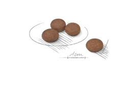 Digestive Care Adult Mini tørrfôr for hunder 3 kg