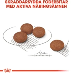 Digestive Care Adult Mini tørrfôr for hunder 3 kg