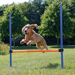 Dog Activity Agility Hurdle - Fully Adjustable Height 123 x 115 cm