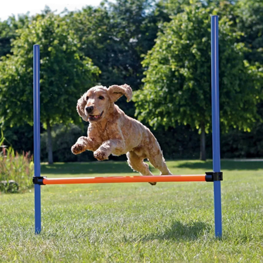 Dog Activity Agility Hurdle - Fully Adjustable Height 123 x 115 cm