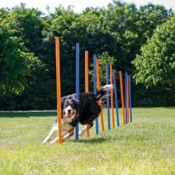 Dog Activity Agility Slalom Blå 12-pakning