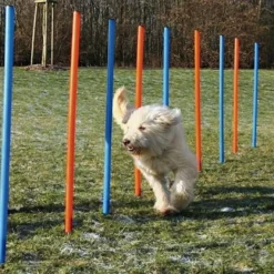 Dog Activity Agility Slalom Blå 12-pakning