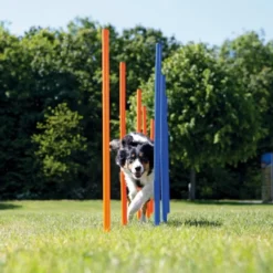Dog Activity Agility Slalom Blå 12-pakning