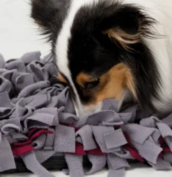 Dog Activity "Sniffing Carpet" Nivå 1 50 x 34 cm