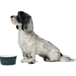 Dog & Cat Feeding Bowl Eiby Ceramic Blue 1900 ml