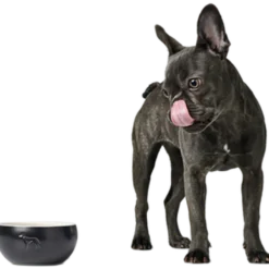 Dog & Cat Feeding Bowl Lund Ceramic Black 1900 ml