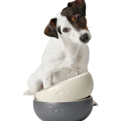 Dog & Cat Feeding Bowl Lund Ceramic Black 1900 ml