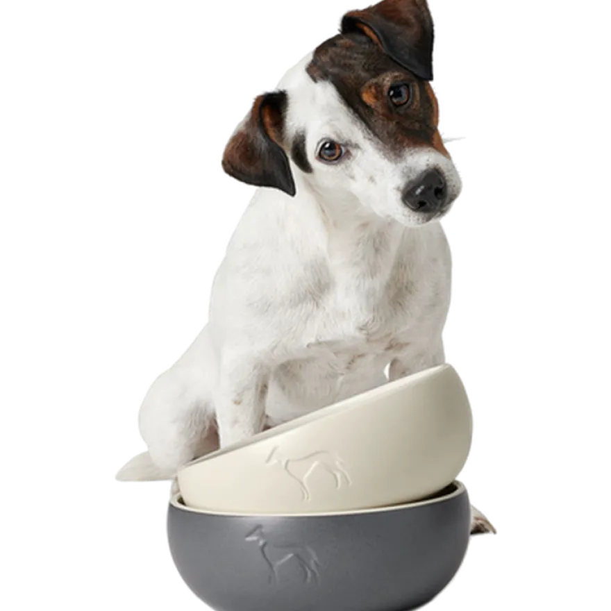 Dog & Cat Feeding Bowl Lund Ceramic Black 550 ml